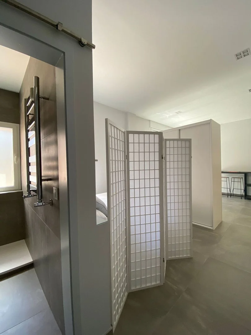 Estudio en avenida de Alberto de Alcocer, 22 - Foto 10