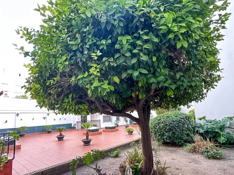 Piso en calle Muñoz Torrero, 2 - Foto 17