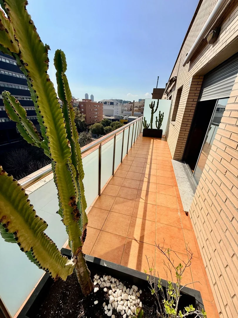 Ático en Camino Antic de València, 49 - Foto 20