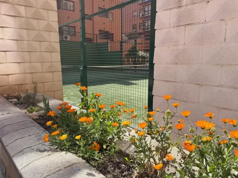 Ático en  Calle Rutilo 9 - Foto 36