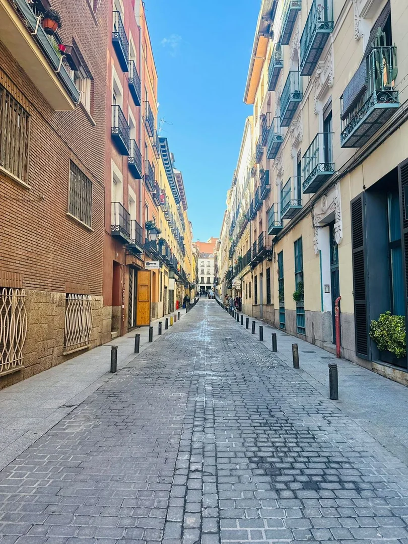 Ático en Calle de Jesús, Huertas-Cortes - Foto 32