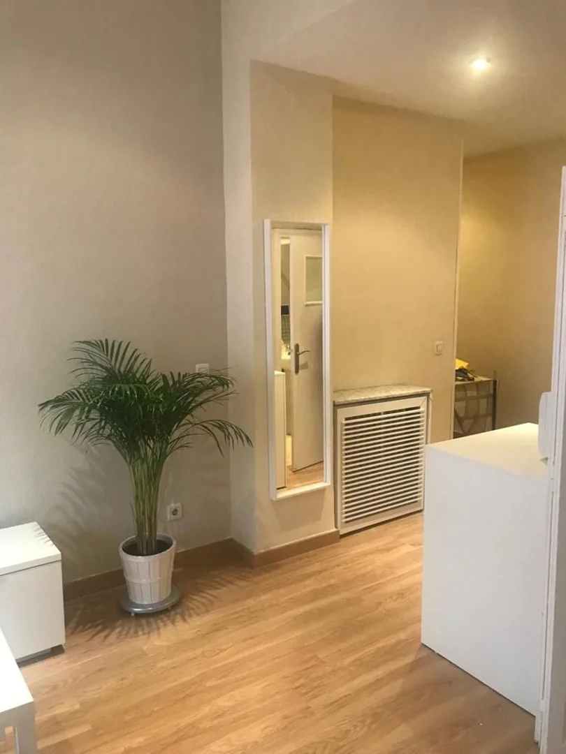 Estudio en Calle de Sánchez Barcáiztegui, Madrid, 39, Pacífico - Foto 2