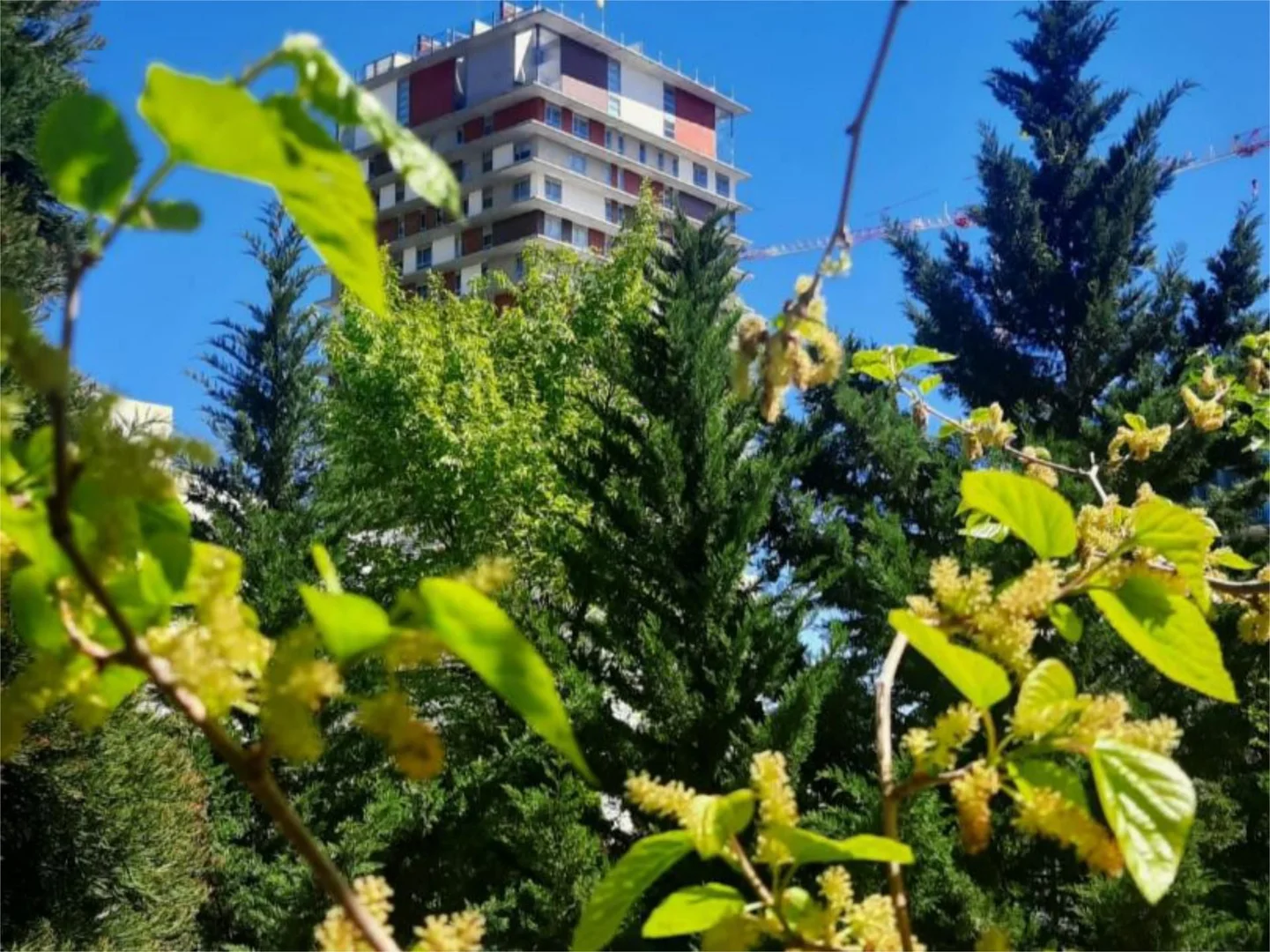 Piso en  Calle de Dulce Chacón 33 - Foto 46