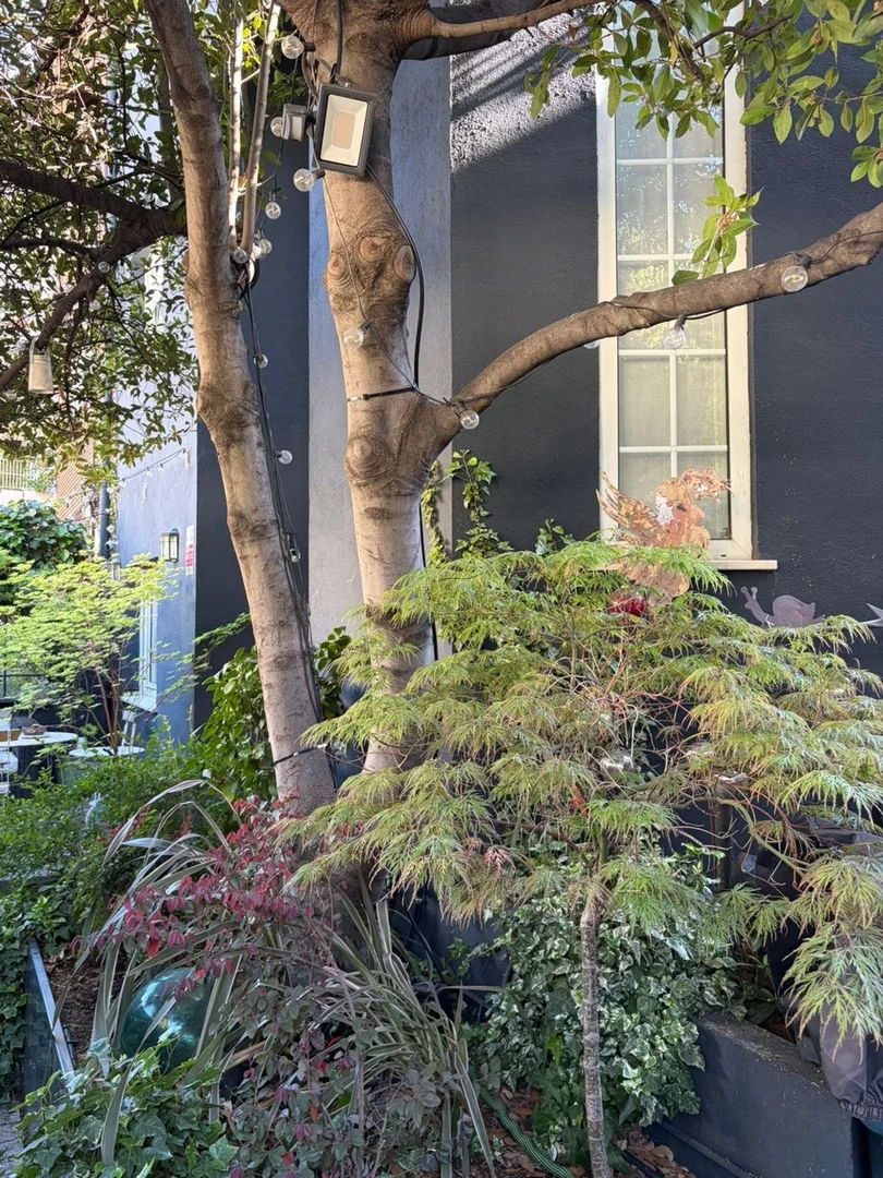 Chalet adosado en Plazo de la Republica Argentina s/n - Foto 21