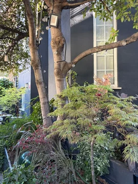 Chalet adosado en Plazo de la Republica Argentina s/n - Foto 21