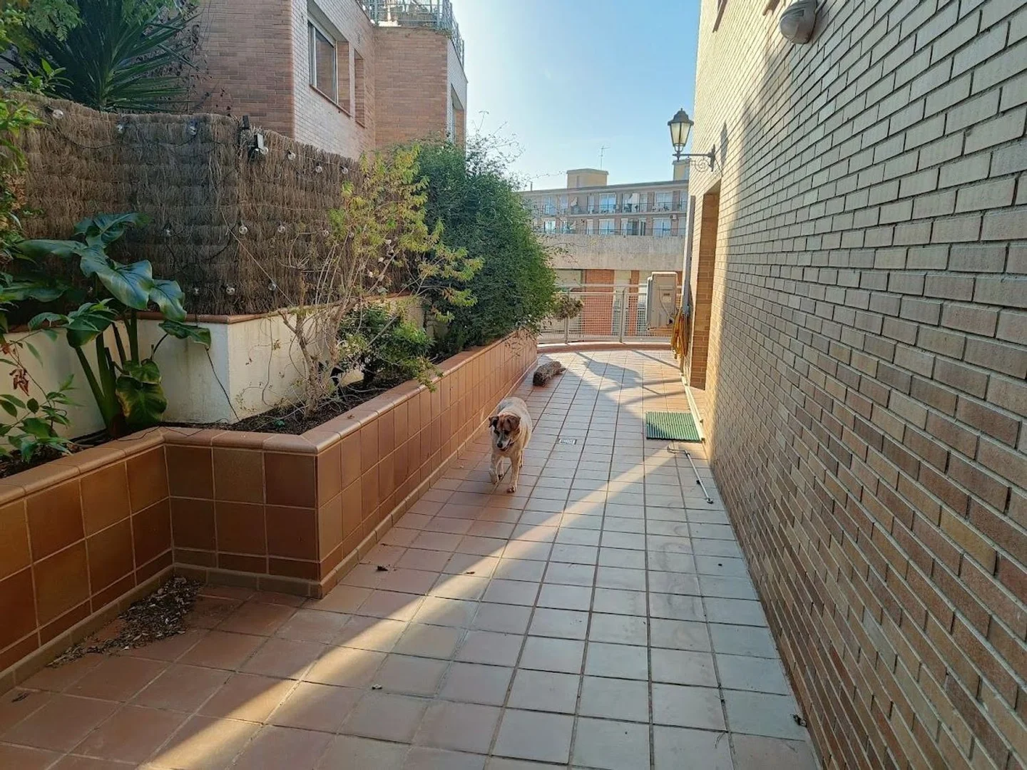 Chalet adosado en Barrio Sant Genís Dels Agudells - Montbau - Foto 8