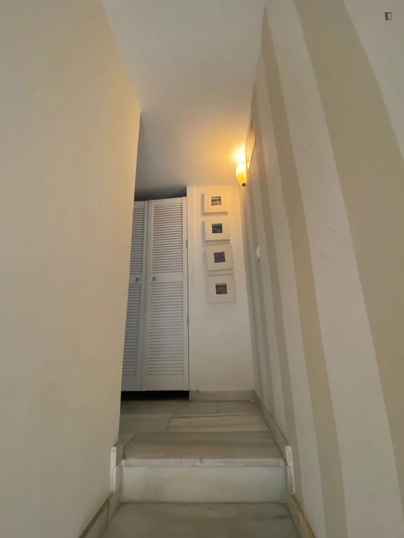 Estudio en Calle de Ezequiel Solana, Pueblo Nuevo - Foto 17