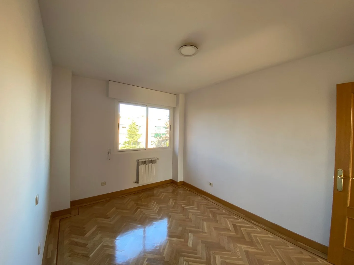 Piso en Avenida de los Prunos, 15, Palomas - Foto 15