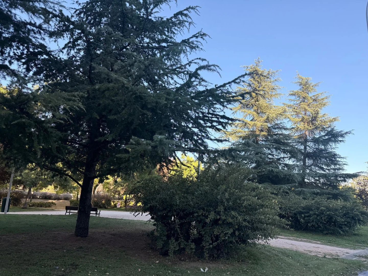 Dúplex en Conde Orgaz-Piovera, Conde Orgaz-Piovera - Foto 33