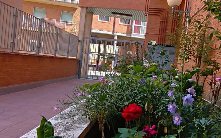 Piso en Calle del Ailanto, 31 - Foto 6