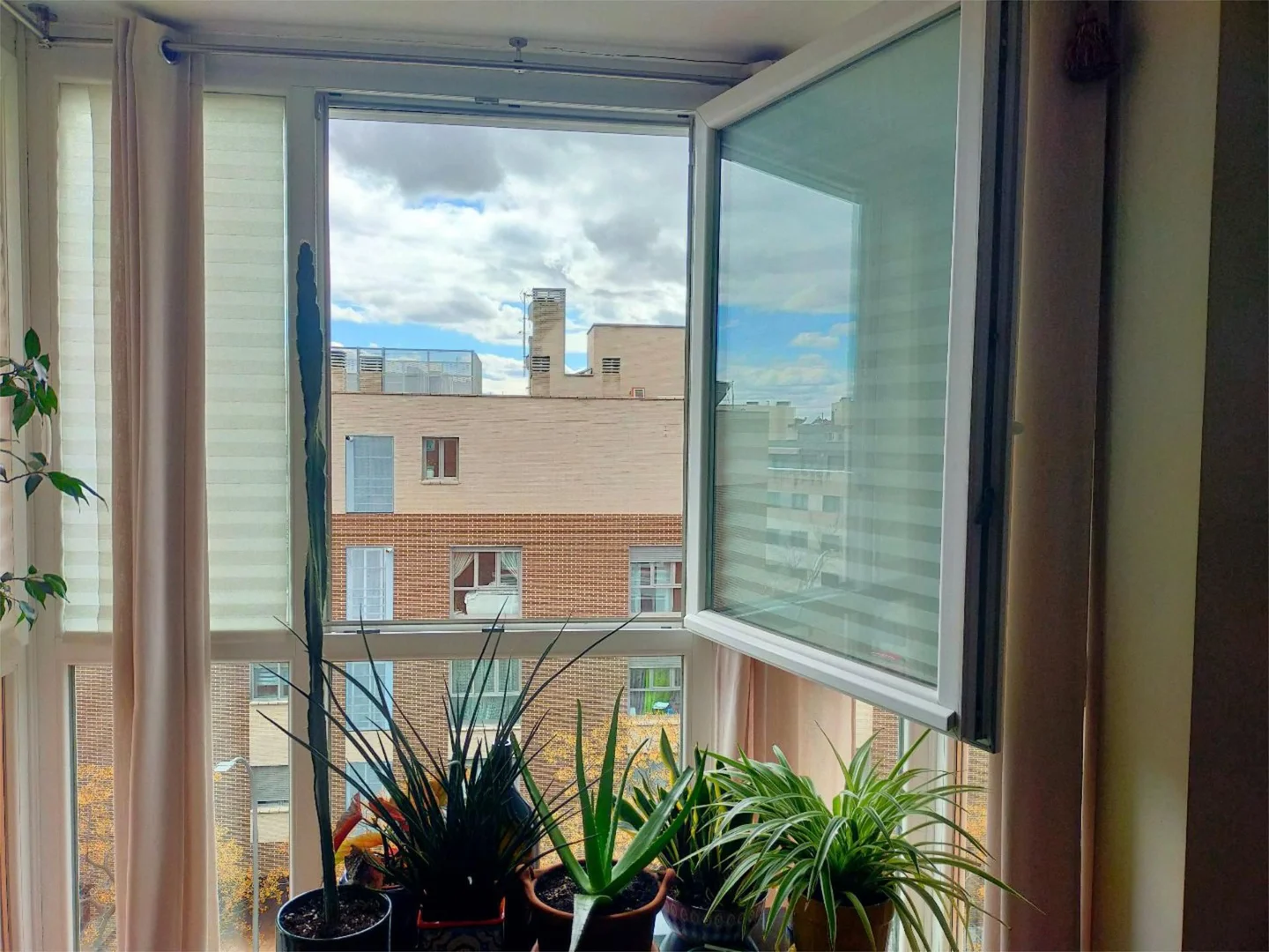 Piso en  Calle Playa de San Juan 15 - Foto 19