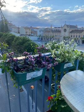 Piso en Calle de Foix, 32, Casc Antic - Nou Cambrils, Casc Antic - Nou Cambrils - Foto 13