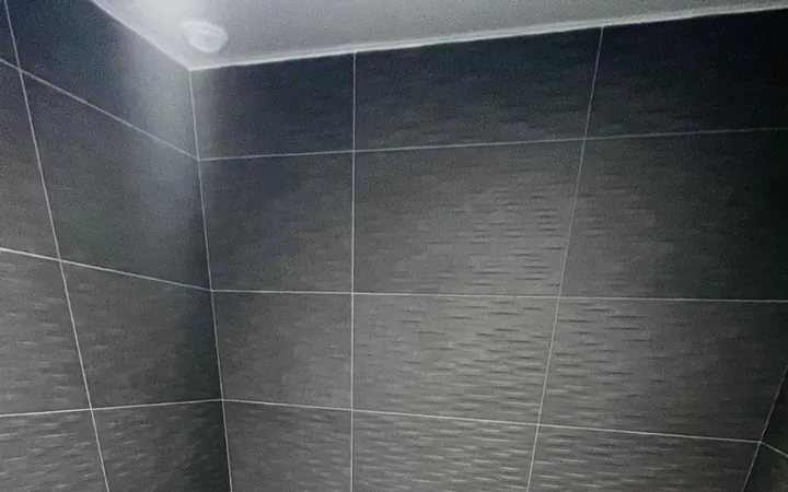Piso en Calle de Francisco Grande Covián, 30, El Cañaveral - Foto 8