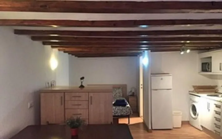 Estudio en Calle d'En Cortines, Sant Pere - Santa Caterina i la Ribera - Foto 8