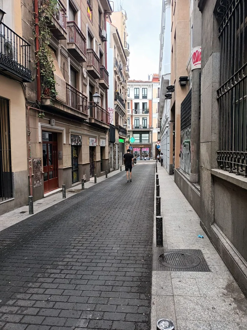 Estudio en Calle de los Jardines, 25, Sol - Foto 15