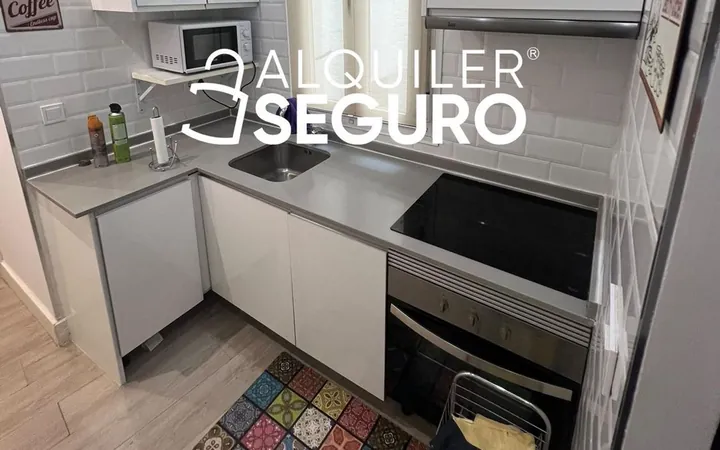 Piso en Calle de Martín Martínez, Ciudad Jardín - Foto 15
