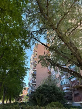 Piso en Barrio Águilas - Foto 3