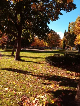 Piso en calle de la Encomienda de Palacios, 117 - Foto 9