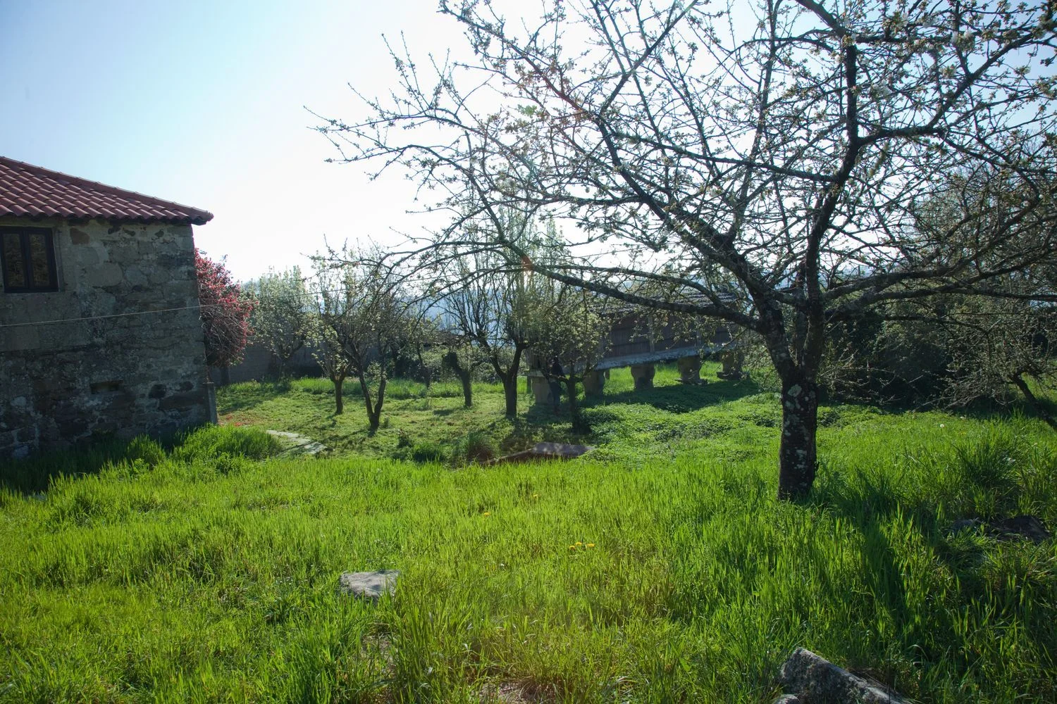 Casa rural en Fondo De Vila, 3 - Foto 34