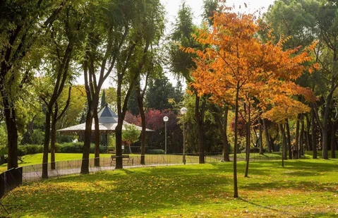 Estudio en calle del Pez Volador, 32 - Foto 19