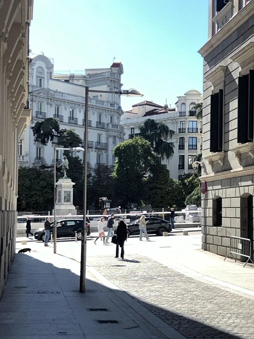 Ático en Plaza de las Cortes, 6, Huertas-Cortes - Foto 6
