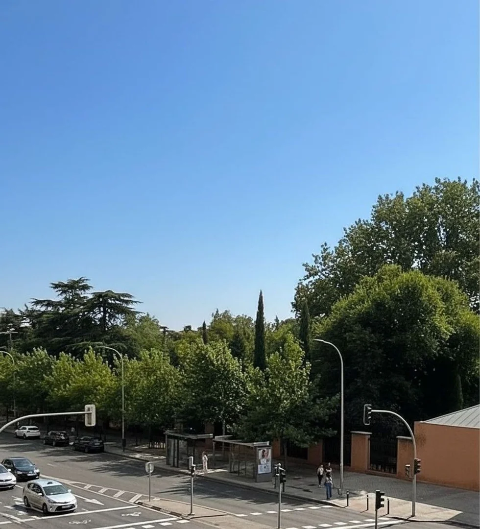 Estudio en Avenida de Menéndez Pelayo, Ibiza - Foto 13