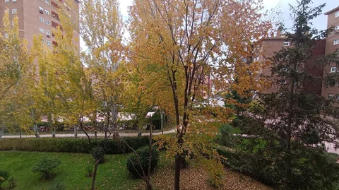 Piso en calle Carlos II, 8 - Foto 32