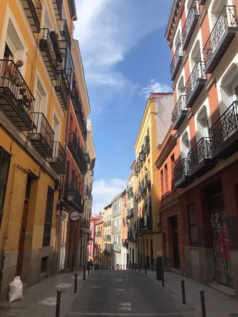 Piso en Calle del Olivar, 18, Lavapiés-Embajadores - Foto 3