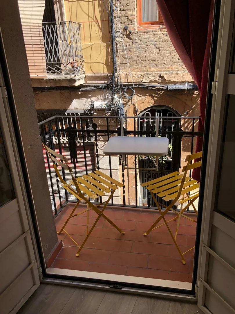Estudio en Calle de la Cera, 22, El Raval - Foto 6