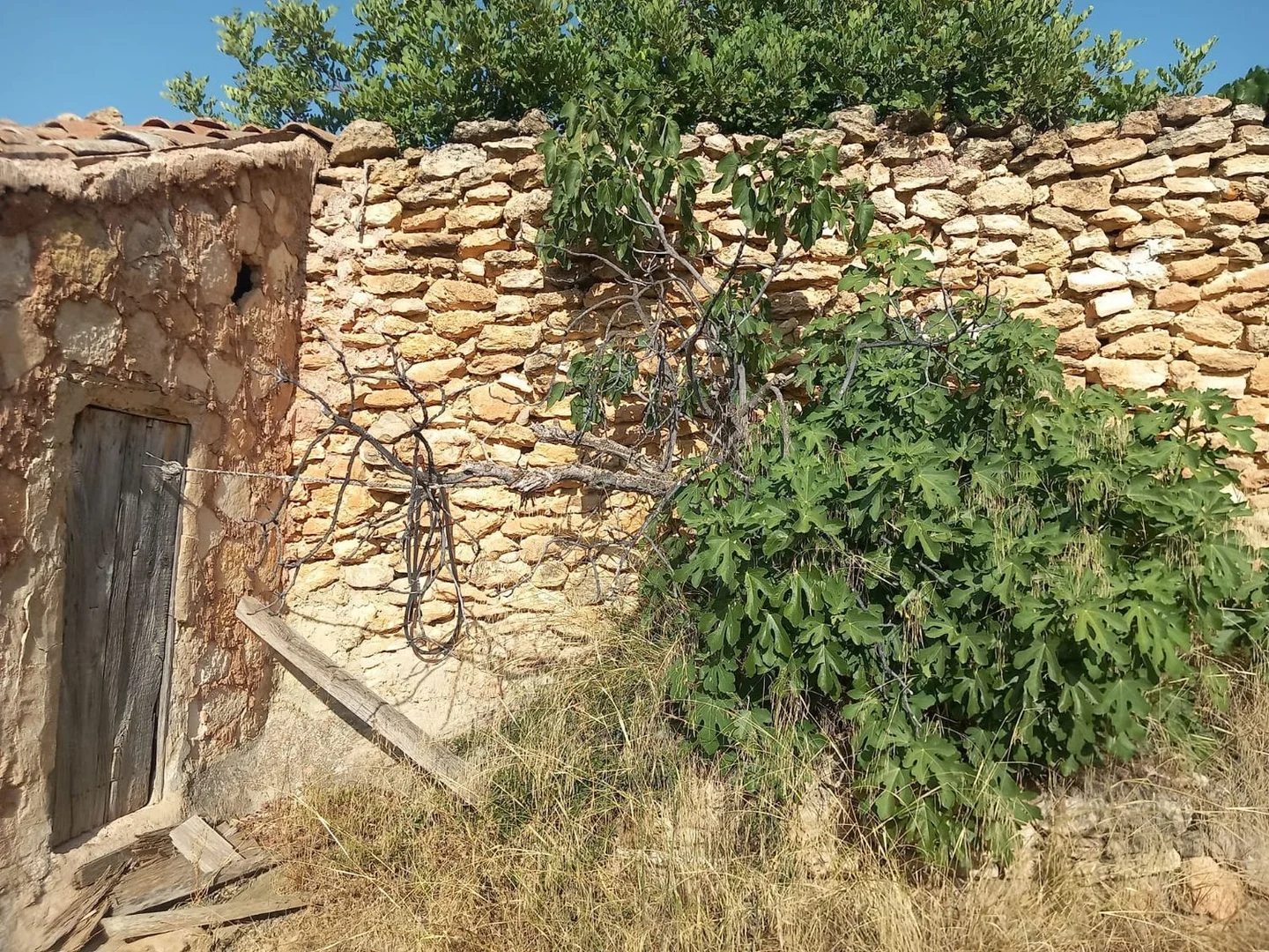 Chalet pareado en N-344, 8 - Foto 24