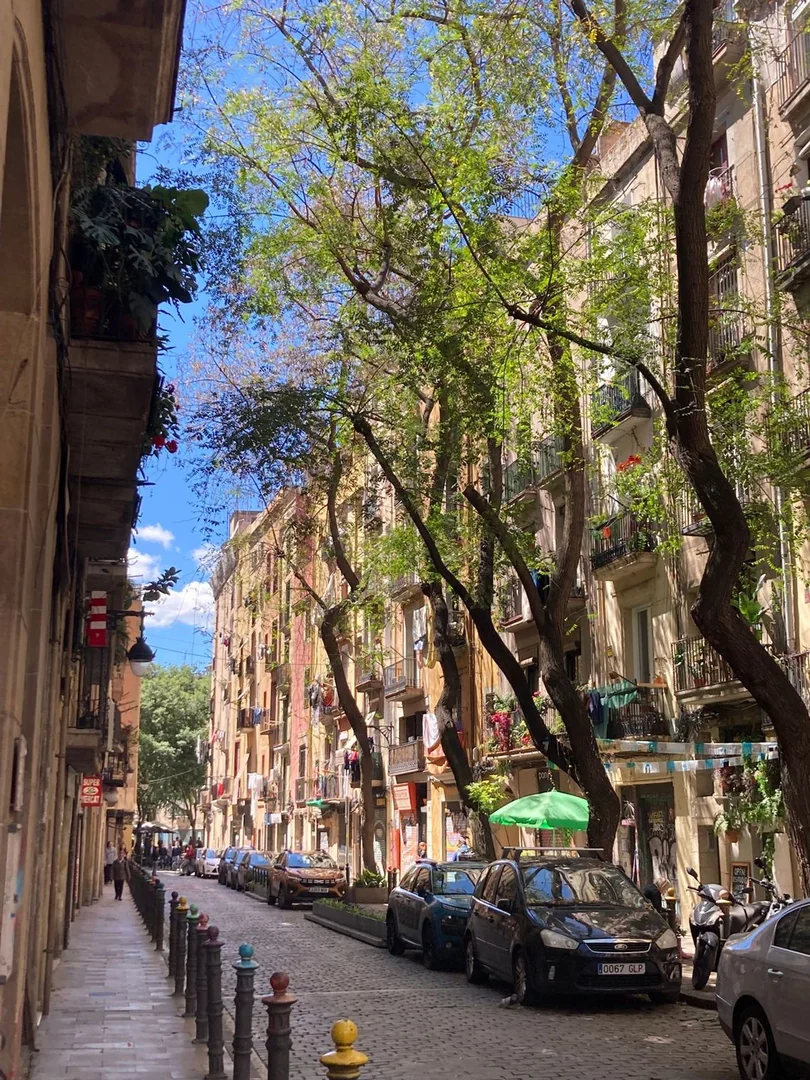 Piso en Sant Pere - Santa Caterina i la Ribera, Sant Pere - Santa Caterina i la Ribera - Foto 18