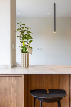 Piso en avenida de Menéndez Pelayo, 79 - Foto 9