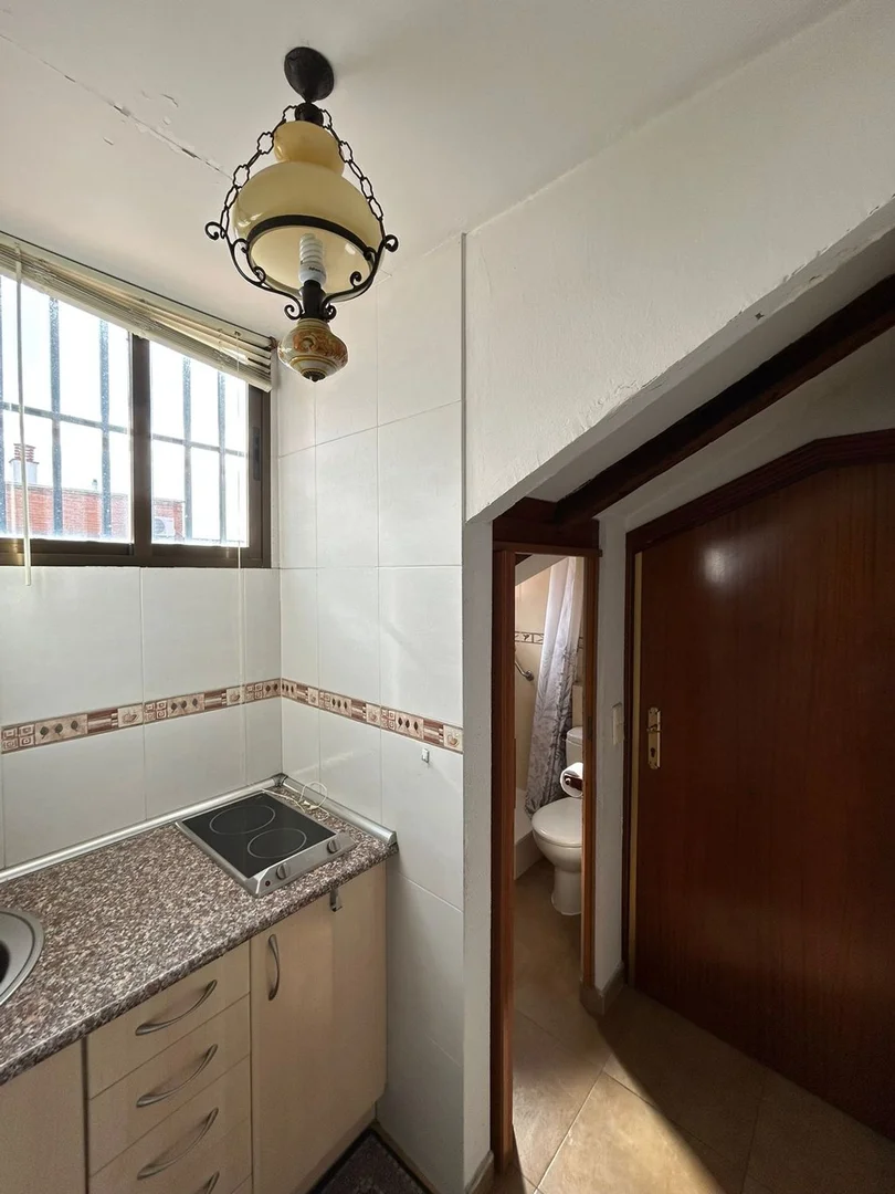 Ático en Barrio Lavapiés-Embajadores - Foto 6