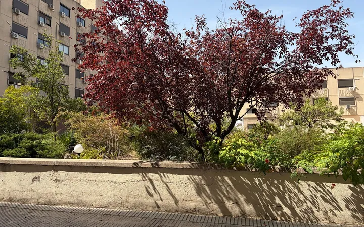 Estudio en Calle del Conde de Serrallo, 1, Ventilla-Almenara - Foto 4