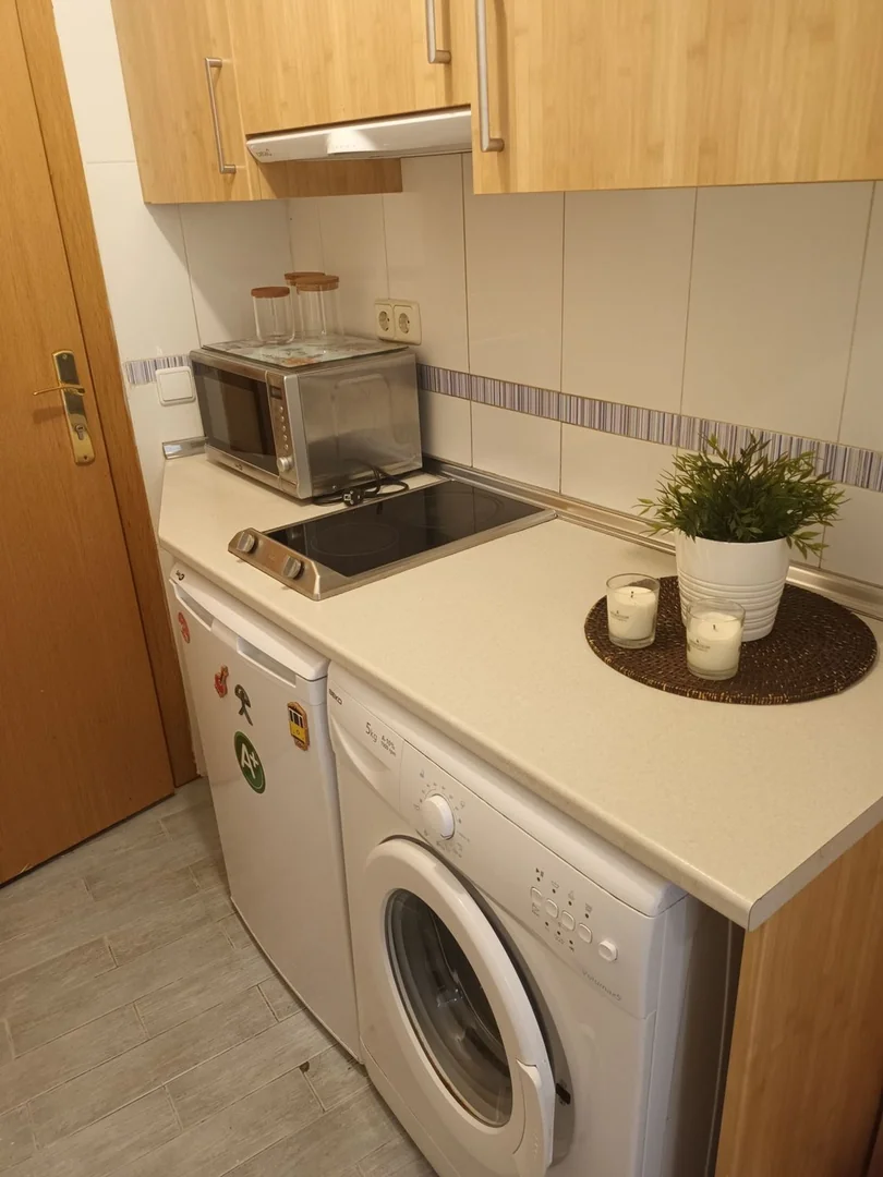 Estudio en Calle de los Jardines, 25, Sol - Foto 8