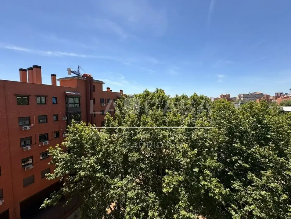 Ático en  Calle de Julián Rabanedo - Foto 43