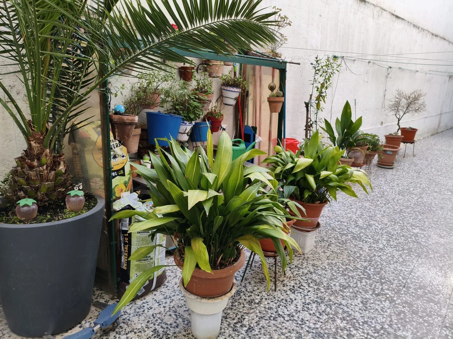 Piso en Barrio Opañel - Foto 1