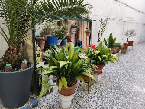 Piso en Barrio Opañel - Foto 1