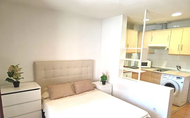 Estudio en Calle del Doctor Fleming, 44, Nueva España - Foto 12