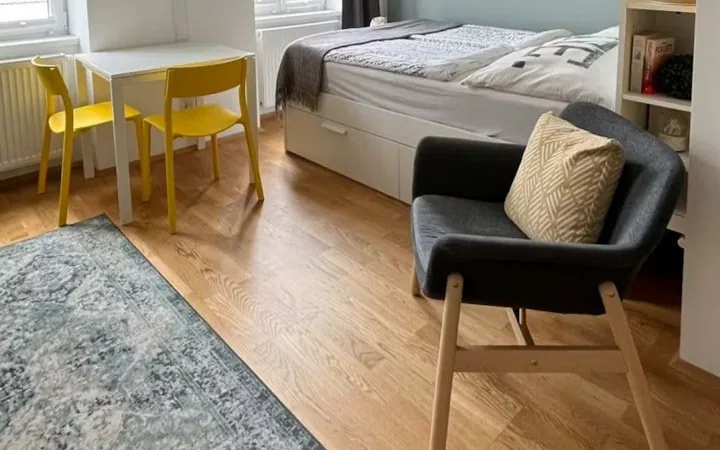 Estudio en Calle del Gral. Pardiñas, 68, Lista - Foto 13