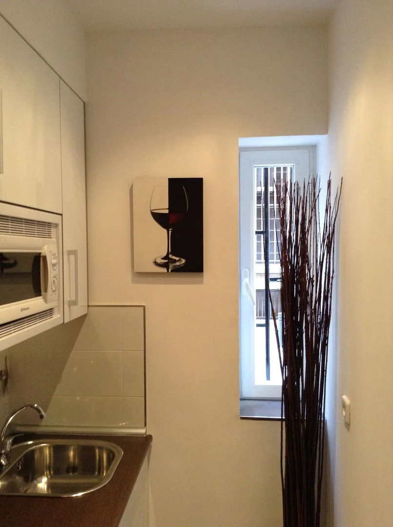 Estudio en Calle Nuestra Señora de las Mercedes, Numancia - Foto 4