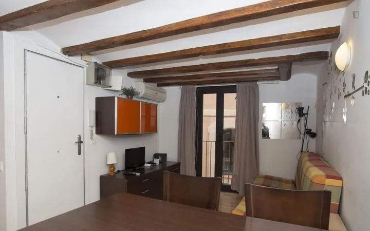 Estudio en Calle d'En Cortines, Sant Pere - Santa Caterina i la Ribera - Foto 6