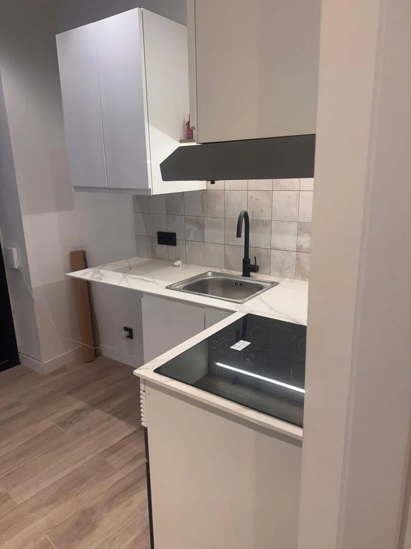 Estudio en Calle de l'Allada-Vermell, Sant Pere - Santa Caterina i la Ribera - Foto 3