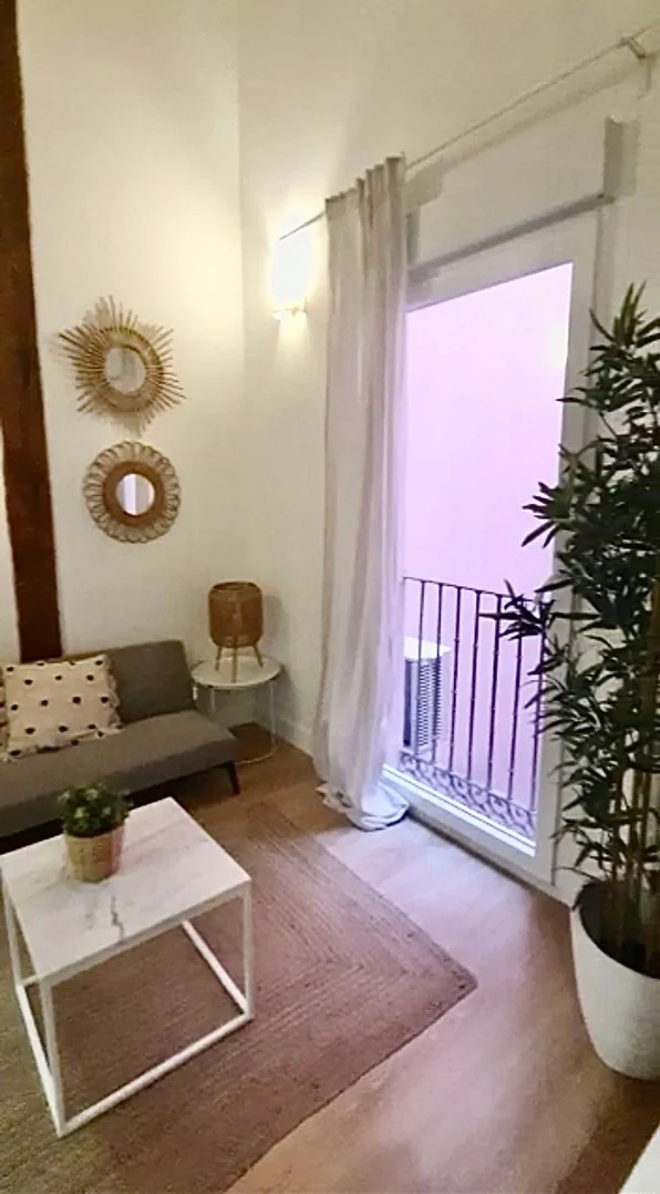 Estudio en Calle del Olmo, Lavapiés-Embajadores - Foto 3