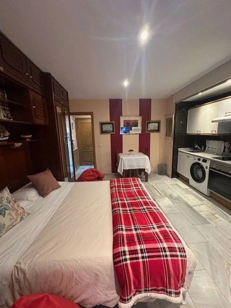 Estudio en Barrio Guindalera - Foto 4