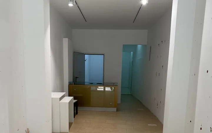 Local en Calle de Sants, 354, Sants - Badal - Foto 5