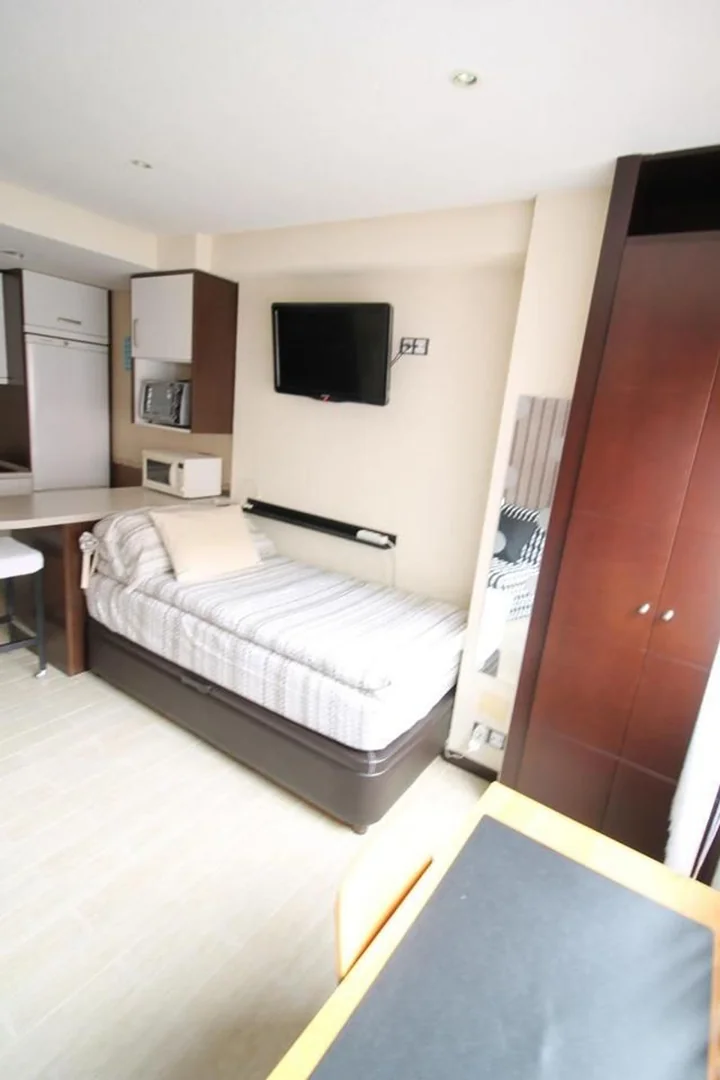 Estudio en Calle de Juan Álvarez Mendizábal, Argüelles - Foto 7