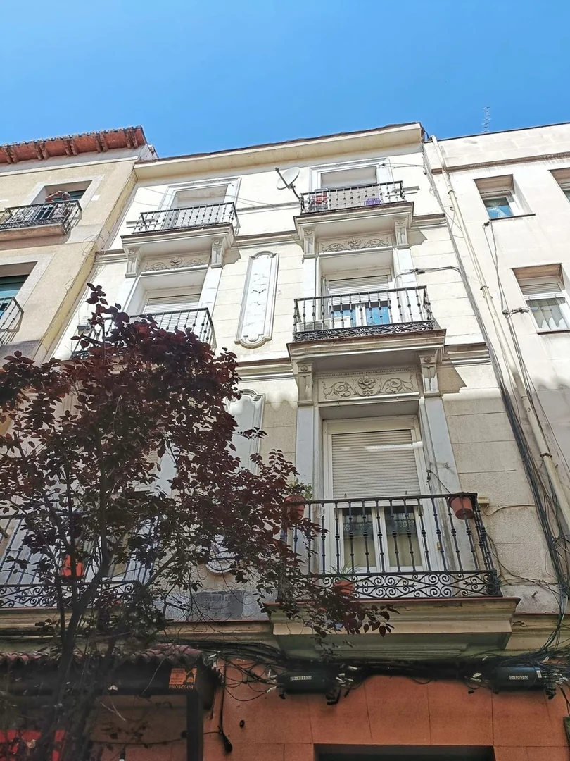 Piso en Calle de Echegaray, 14, Huertas-Cortes - Foto 9