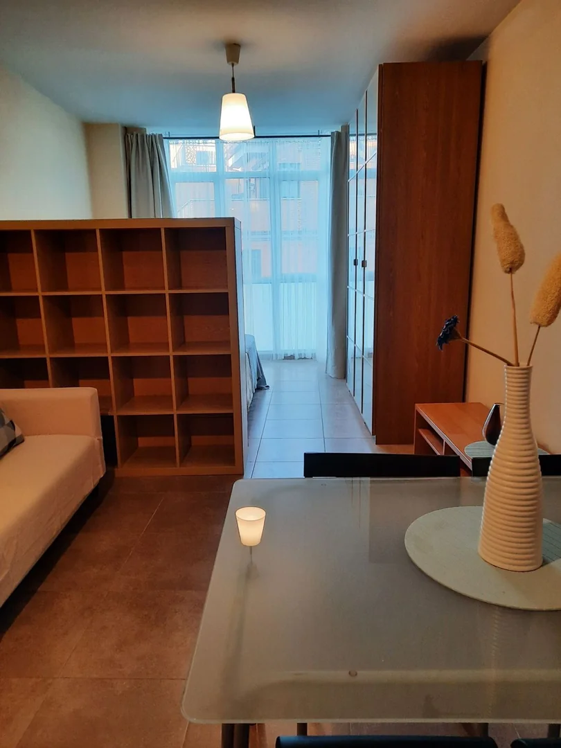 Estudio en Calle del Sauco, 8, Berruguete - Foto 15
