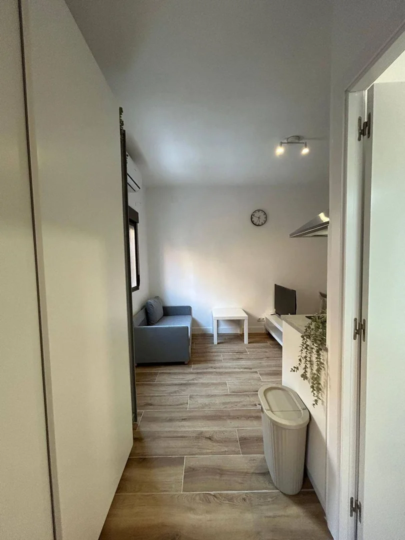 Estudio en Calle de Pío Baroja, 1 - Foto 9